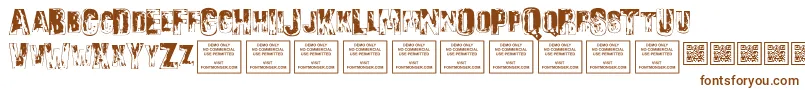 SonsofnoahRegular Font – Brown Fonts on White Background