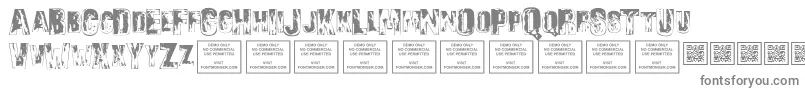 SonsofnoahRegular Font – Gray Fonts on White Background
