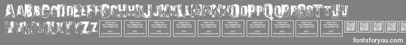 SonsofnoahRegular-Schriftart – Weiße Schriften auf grauem Hintergrund