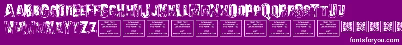 SonsofnoahRegular Font – White Fonts on Purple Background