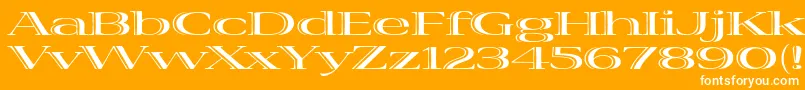 VivastdBoldextraextended Font – White Fonts on Orange Background