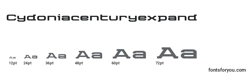 Размеры шрифта Cydoniacenturyexpand