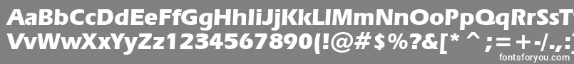 Шрифт Erasb – белые шрифты на сером фоне