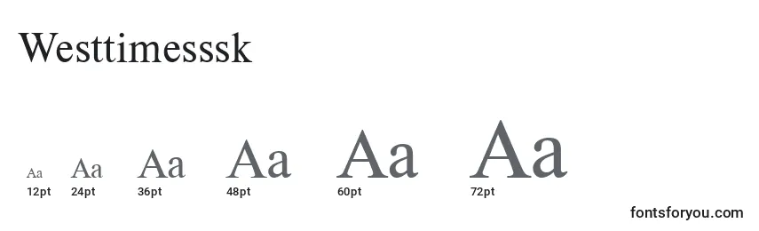 Размеры шрифта Westtimesssk