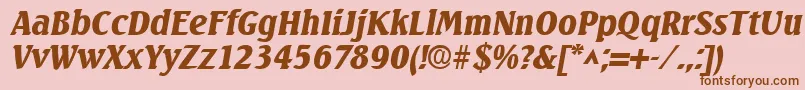 SeagullBoldItalic Font – Brown Fonts on Pink Background