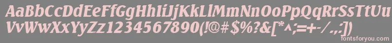 SeagullBoldItalic Font – Pink Fonts on Gray Background