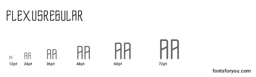 FlexusRegular Font Sizes