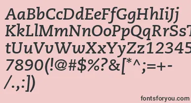 CaecilialtstdBolditalic font – Black Fonts On Pink Background