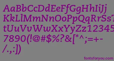 CaecilialtstdBolditalic font – Purple Fonts On Gray Background