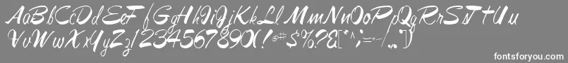 Jesabellfont72Regular Font – White Fonts on Gray Background