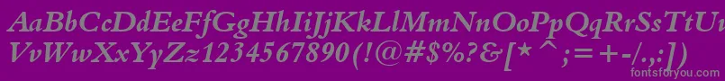 Aldine401BoldItalicBt Font – Gray Fonts on Purple Background