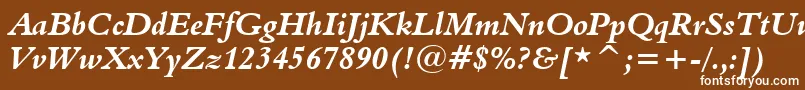 Czcionka Aldine401BoldItalicBt – białe czcionki na brązowym tle