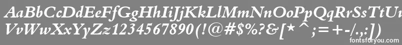 フォントAldine401BoldItalicBt – 灰色の背景に白い文字