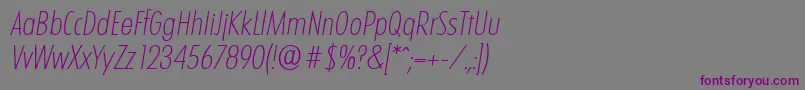 LimerickcdserialXlightItalic Font – Purple Fonts on Gray Background