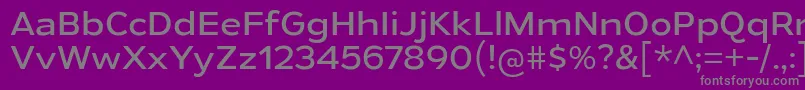 Police GymkhanaBk – polices grises sur fond violet