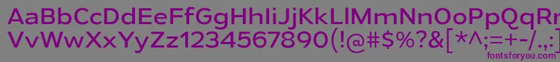 GymkhanaBk Font – Purple Fonts on Gray Background