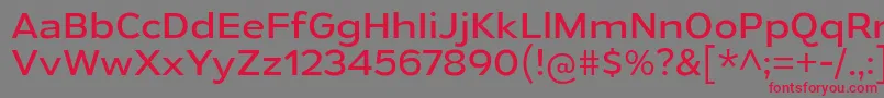 GymkhanaBk Font – Red Fonts on Gray Background