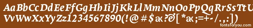 LeksaproExtraboldItalic Font – White Fonts on Brown Background