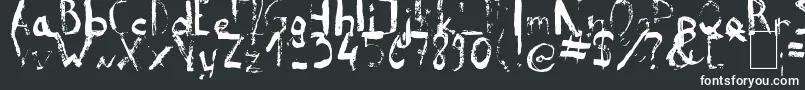 ReeldTypeface Font – White Fonts