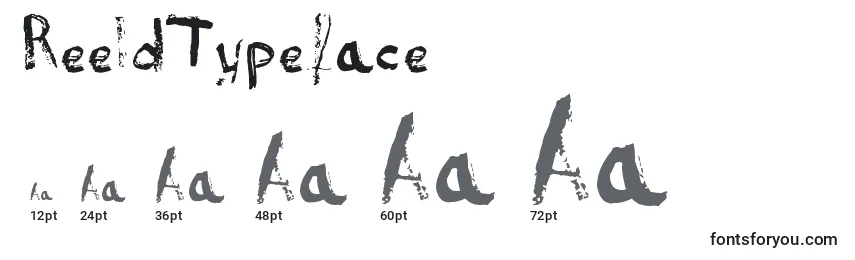 Размеры шрифта ReeldTypeface