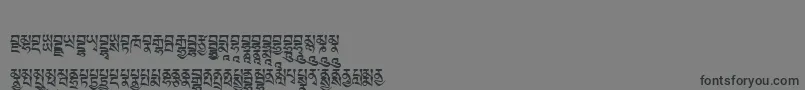 Tibetanmachineweb5 Font – Black Fonts on Gray Background