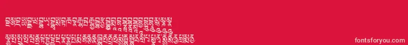 Tibetanmachineweb5 Font – Pink Fonts on Red Background