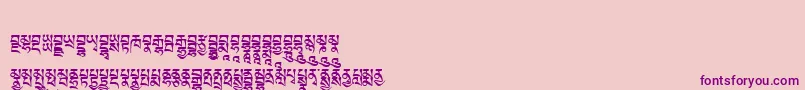 Tibetanmachineweb5 Font – Purple Fonts on Pink Background