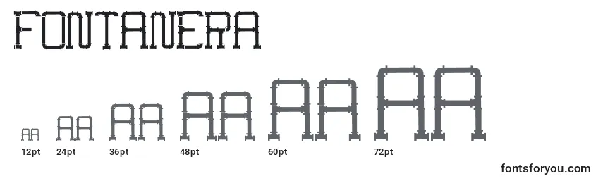 Размеры шрифта Fontanera