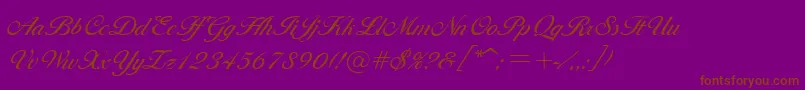 CotillionRegular-Schriftart – Braune Schriften auf violettem Hintergrund