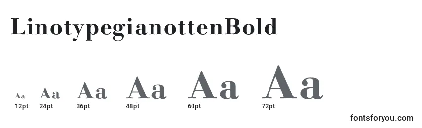 LinotypegianottenBold-fontin koot