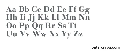 Обзор шрифта LinotypegianottenBold