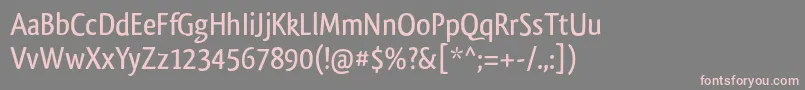 フォントQlassikTb – 灰色の背景にピンクのフォント