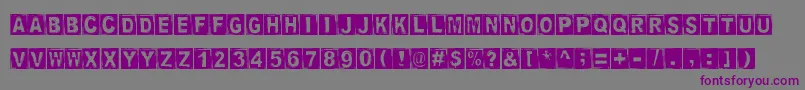 StampedDsg Font – Purple Fonts on Gray Background