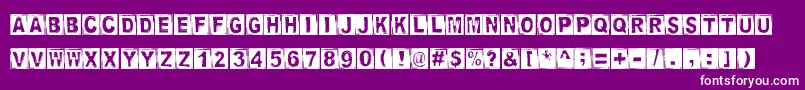 StampedDsg Font – White Fonts on Purple Background