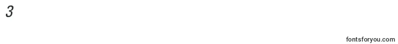 PartnercondensedItalic Font – Fonts for Digit 3