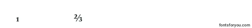 AdobeCaslonBoldExpert Font – Polish Fonts