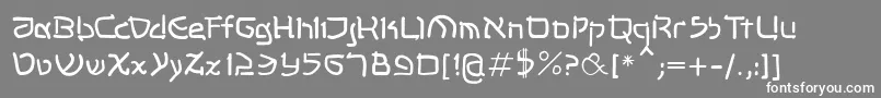 フォントShalommk – 灰色の背景に白い文字