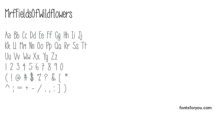 Czcionka MrfFieldsOfWildflowers – alfabet, cyfry, specjalne znaki