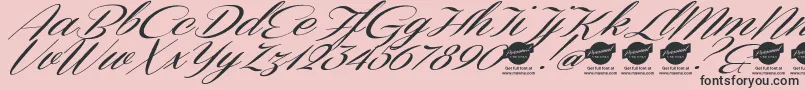 Fonte DemoConeriascriptSlanted – fontes pretas em um fundo rosa