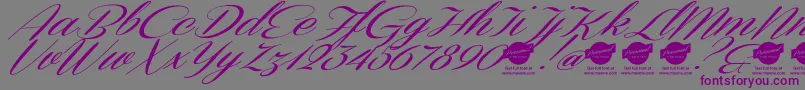 DemoConeriascriptSlanted-Schriftart – Violette Schriften auf grauem Hintergrund
