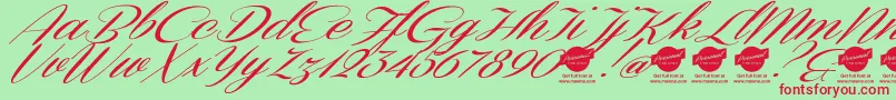 DemoConeriascriptSlanted Font – Red Fonts on Green Background