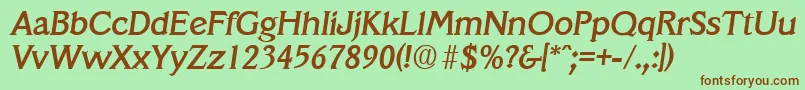 VeracruzMediumita Font – Brown Fonts on Green Background