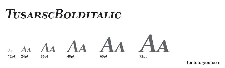 TusarscBolditalic Font Sizes