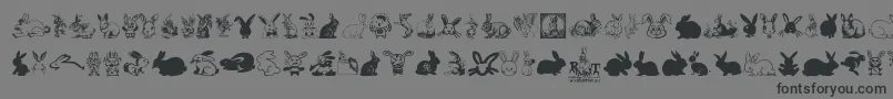 Rabbit Font – Black Fonts on Gray Background