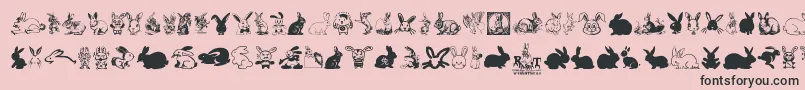 フォントRabbit – ピンクの背景に黒い文字