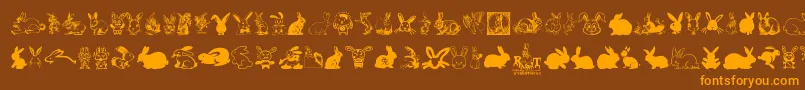 Rabbit Font – Orange Fonts on Brown Background