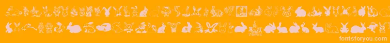 Rabbit-Schriftart – Rosa Schriften auf orangefarbenem Hintergrund