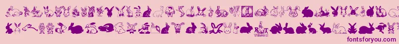 Rabbit-Schriftart – Violette Schriften auf rosa Hintergrund