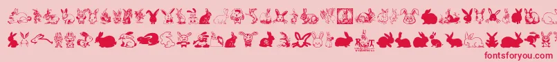 Rabbit Font – Red Fonts on Pink Background