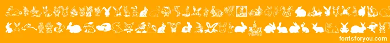 Шрифт Rabbit – белые шрифты на оранжевом фоне